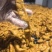 全熟卤肥肠无泡发商超卤菜店专用