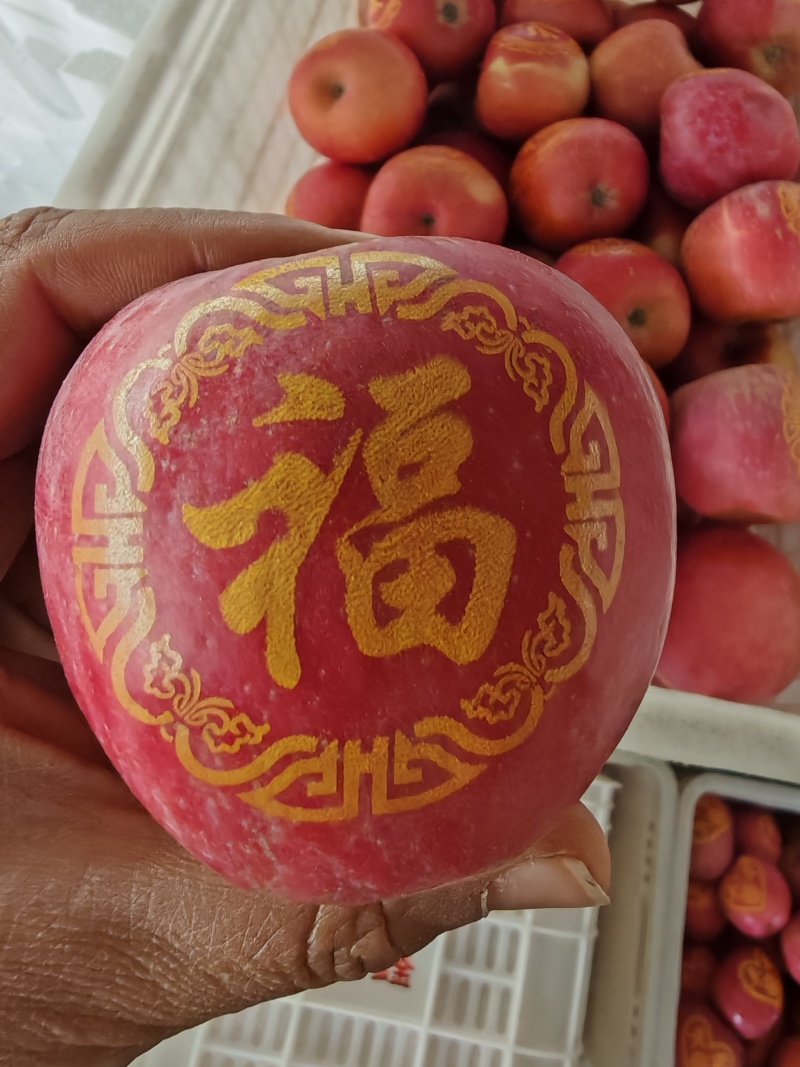 新年带字苹果，红富士带字苹果，产地直发，欢迎过来考察合作