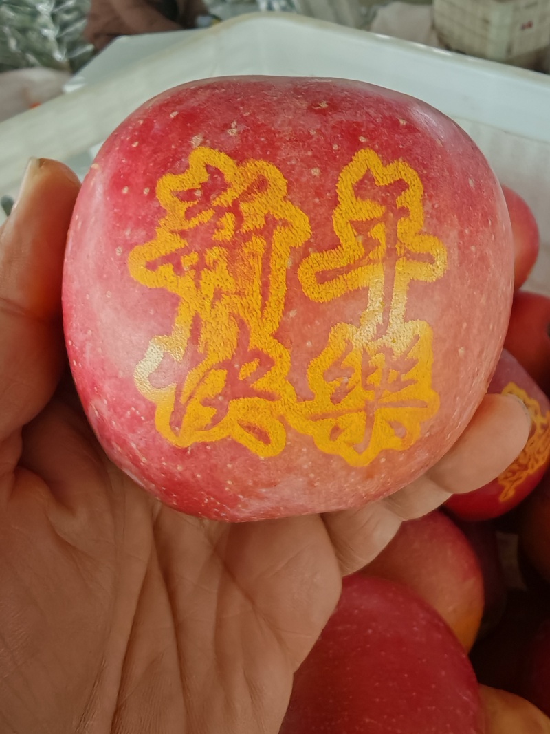 新年带字苹果，红富士带字苹果，产地直发，欢迎过来考察合作