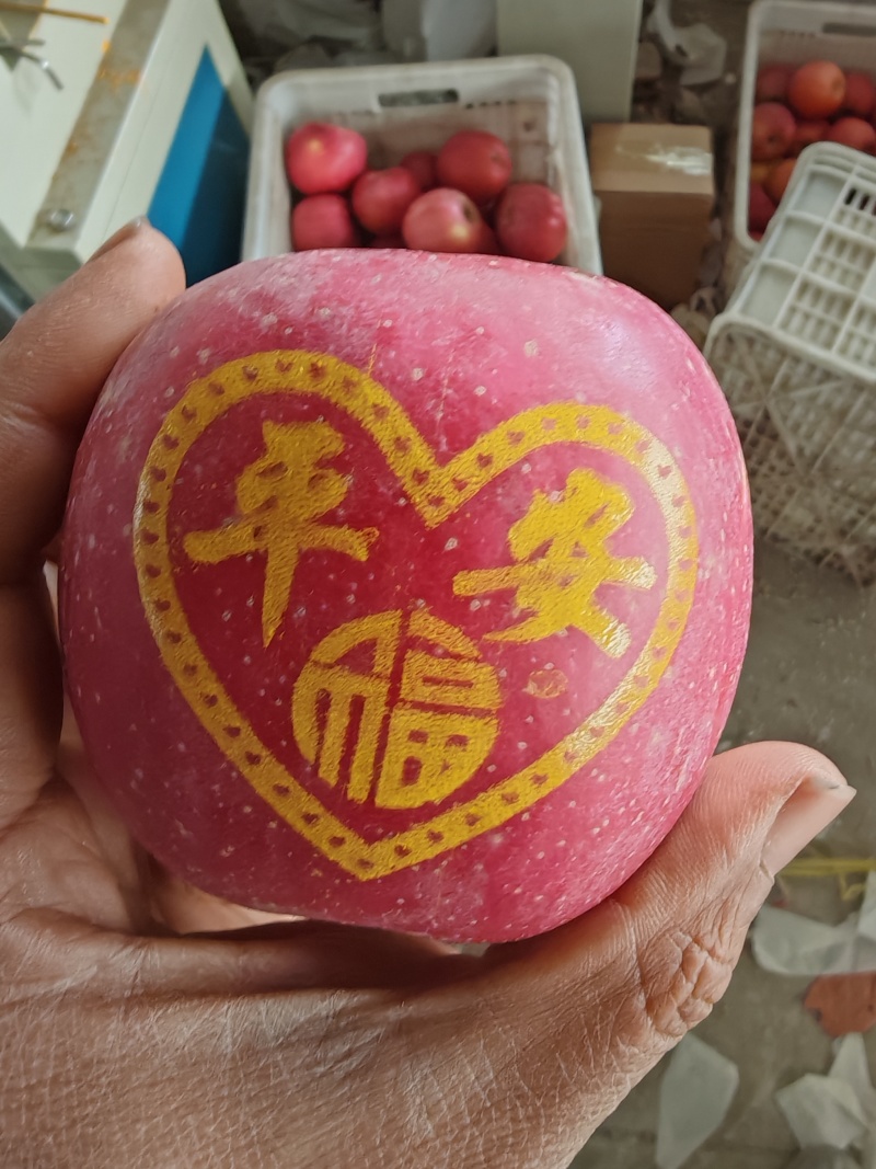 新年带字苹果，红富士带字苹果，产地直发，欢迎过来考察合作