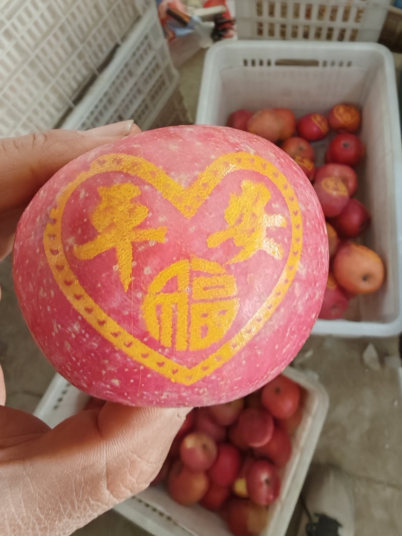新年带字苹果，红富士带字苹果，产地直发，欢迎过来考察合作