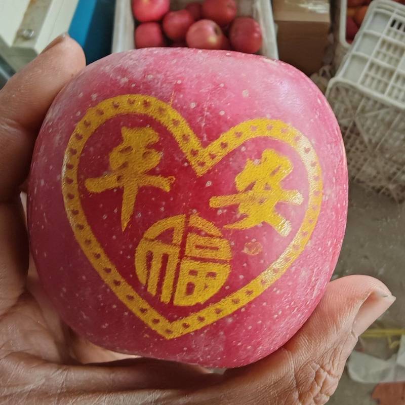 新年带字苹果，红富士带字苹果，产地直发，欢迎过来考察合作
