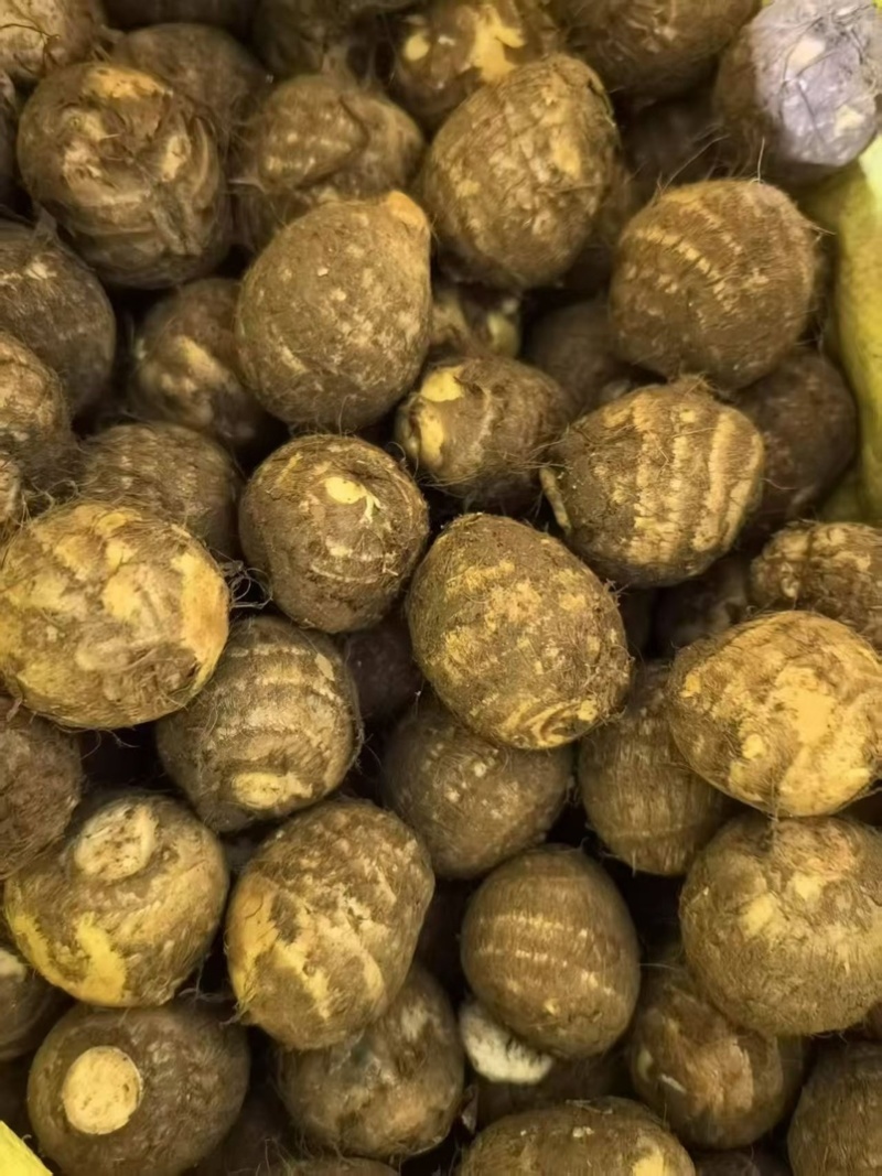 山东8520芋头牛奶芋头毛芋头市场电商品质保证