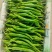 新苗2307软皮椒，大量上市，基地种植，量大从优