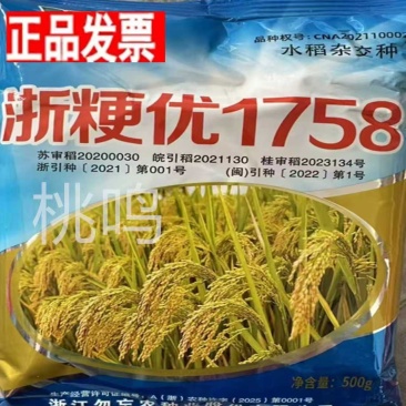 批发国审优质高产圆粒杂交水稻种子浙粳优1758