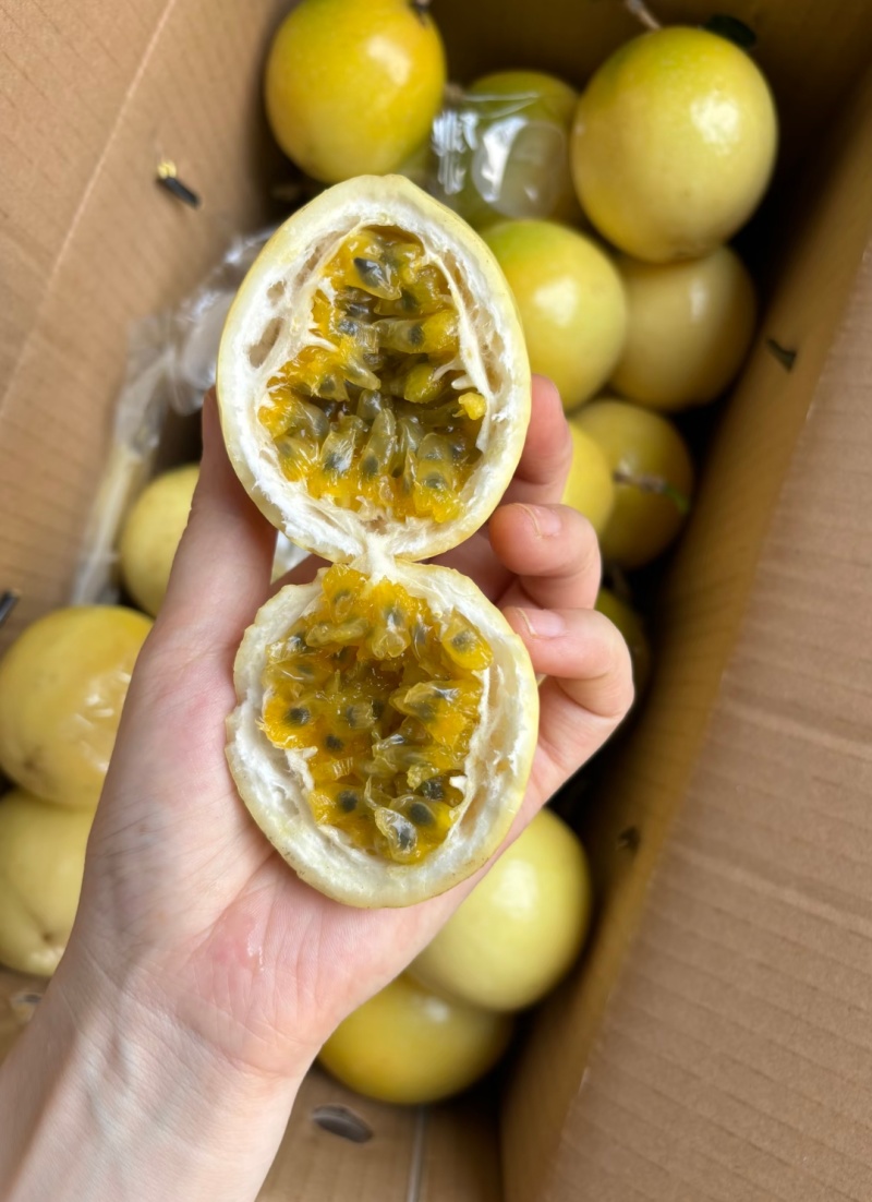 钦蜜9号百香果