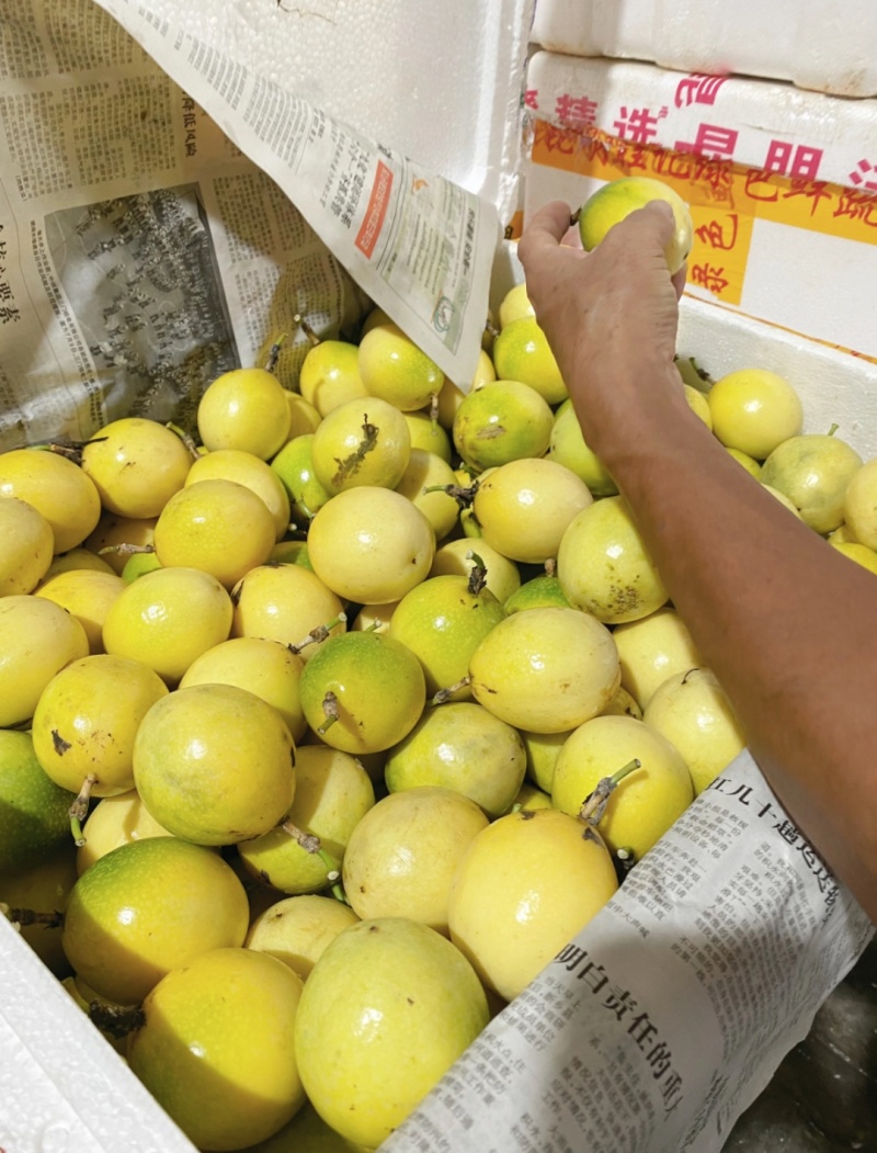 钦蜜9号百香果