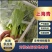 【实力商家】产地直发【诚信经营】保质保量【量大从优】油菜
