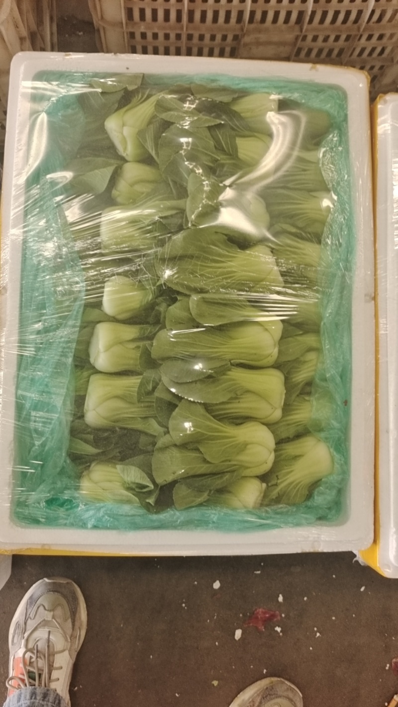 【实力商家】产地直发【诚信经营】保质保量【量大从优】油菜