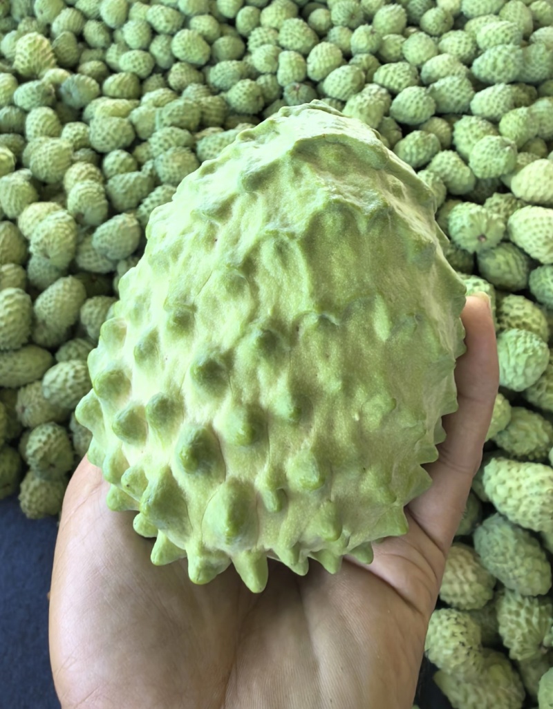 释迦果