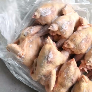 云南奇啃老母鸡一级纯干8只2柜