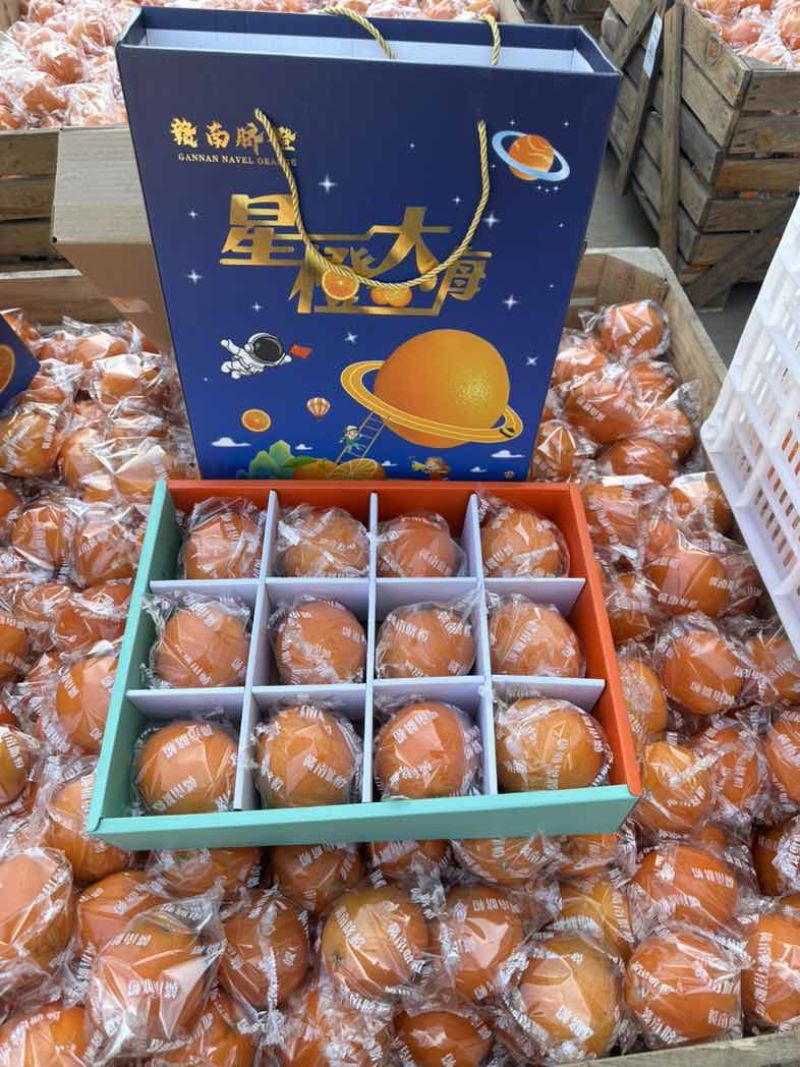 赣南脐橙大量上市欢迎各位老板前来选购品质保证产地直发