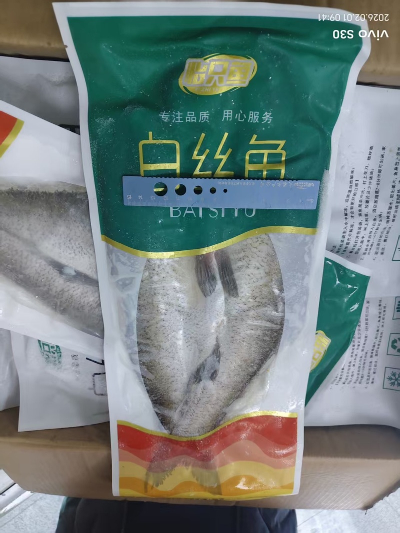 白丝鱼大白刁厂家直销价格优惠