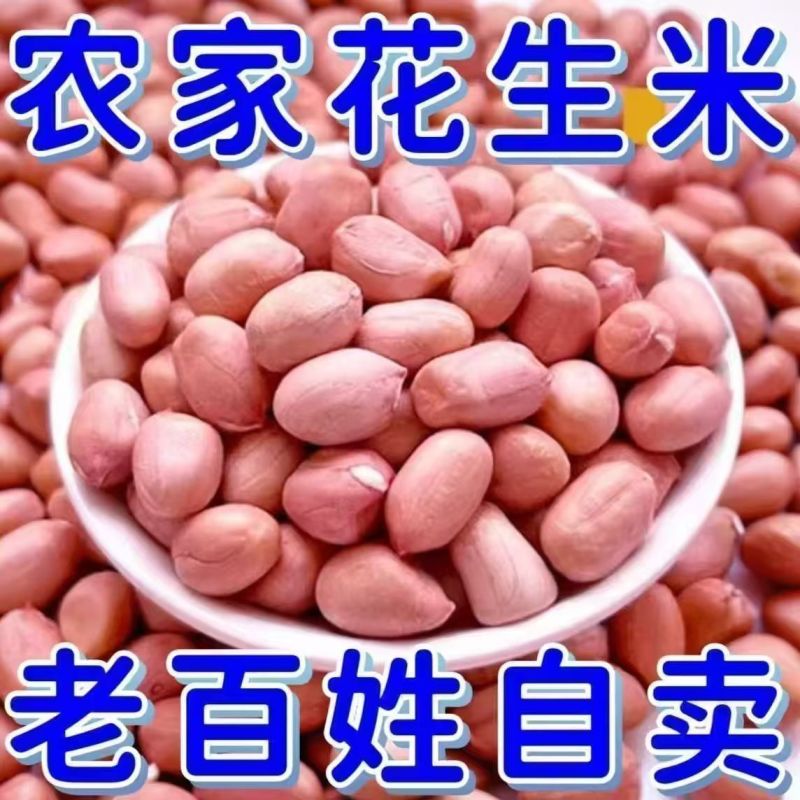 大颗粒花生米全国发货无霉变无坏颗粒质量保证袋装