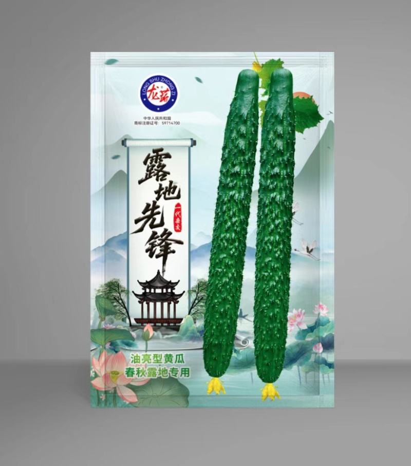 油亮金条黄瓜种子绿芯黄瓜种籽绿心密刺青黄瓜种子四季农家