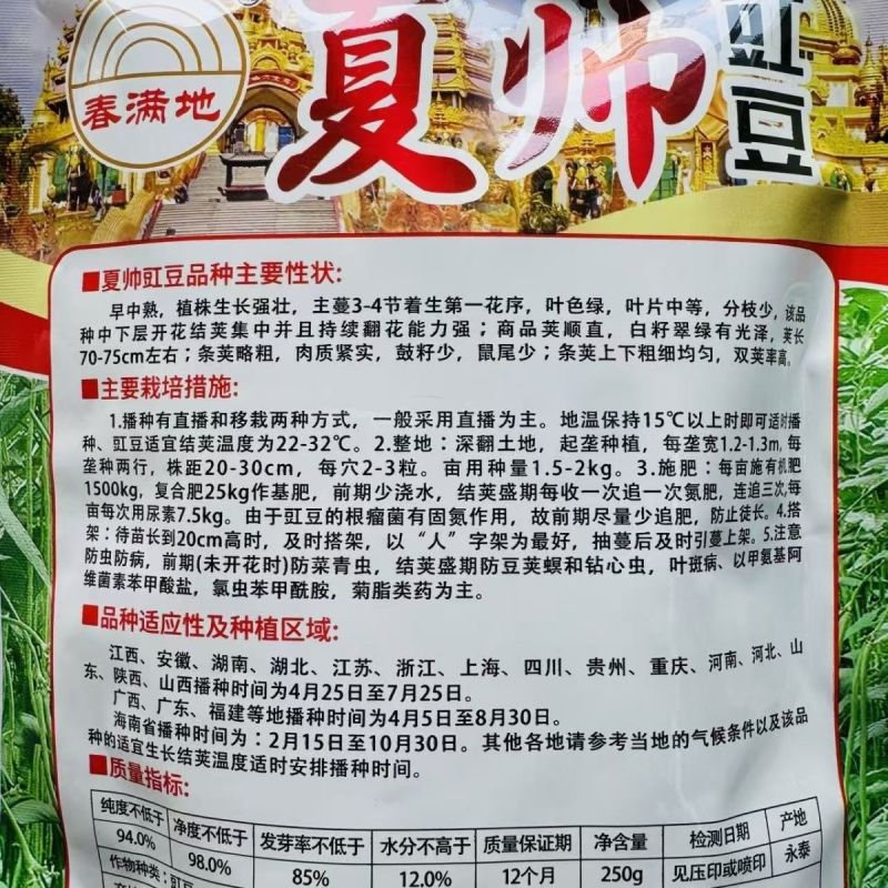 夏帅豇豆中熟品种白籽白花种子耐热专用无鼠尾条荚顺直250