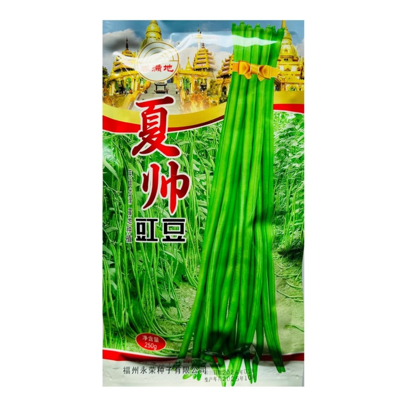 夏帅豇豆中熟品种白籽白花种子耐热专用无鼠尾条荚顺直250