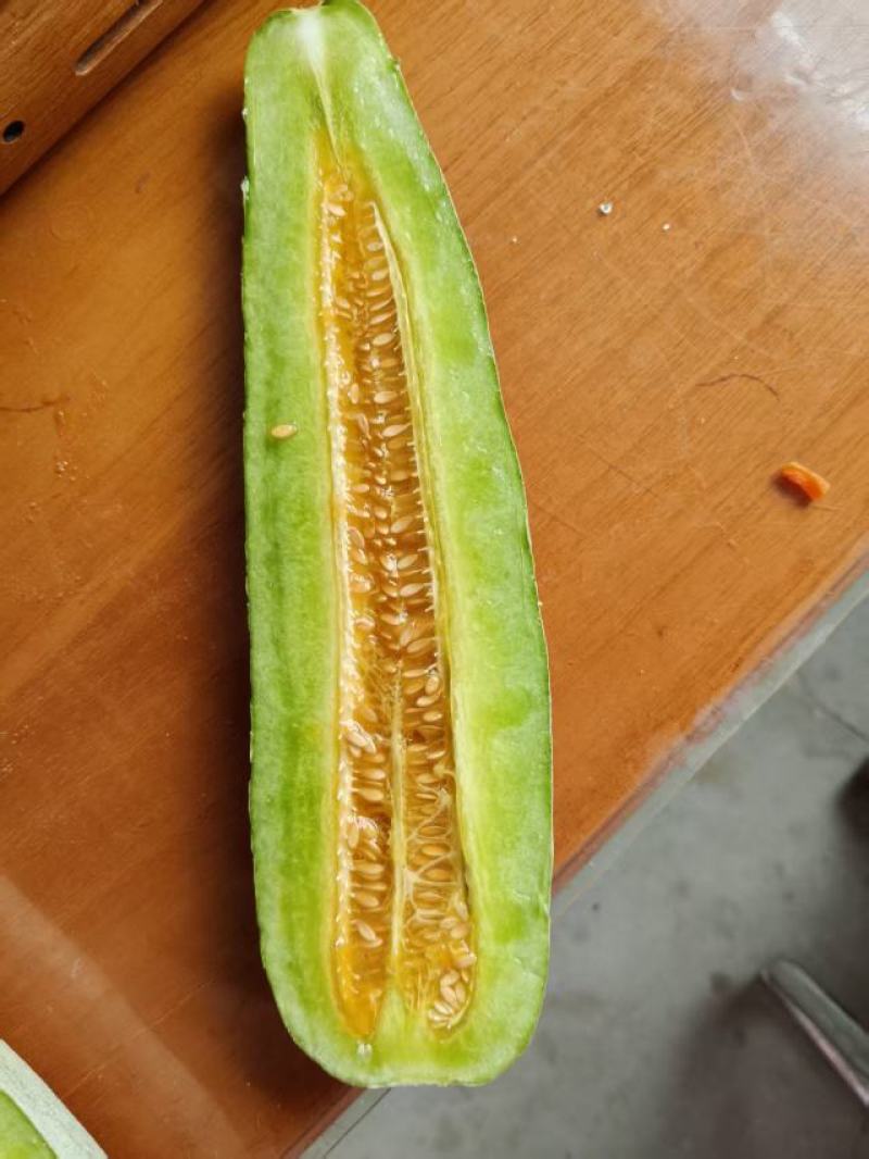 海南东方海沙地自然成熟羊角蜜甜瓜