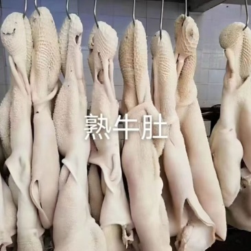 全熟熟牛肚