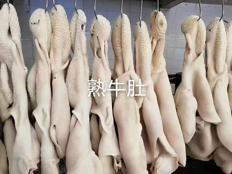 全熟熟牛肚