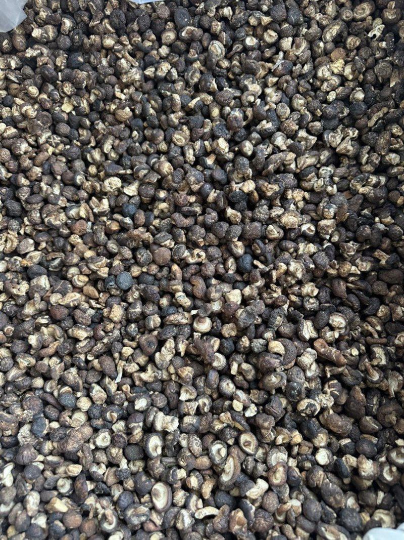 包邮2025香菇脚泌阳菇脚双剪菇脚1.8厘米以上