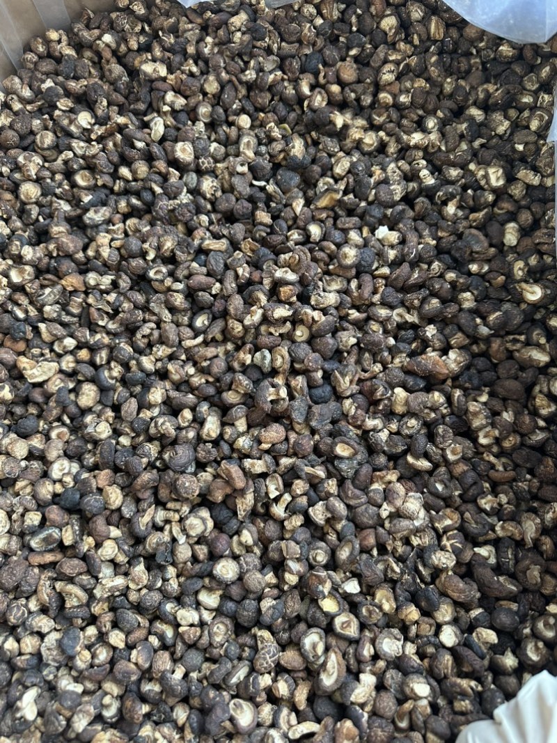 包邮2025香菇脚泌阳菇脚双剪菇脚1.8厘米以上
