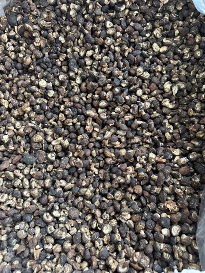 包邮2025香菇脚泌阳菇脚双剪菇脚1.8厘米以上