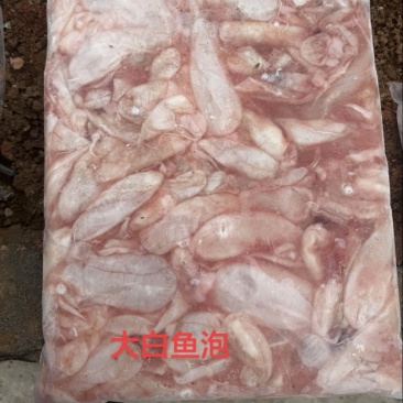 大白鱼泡