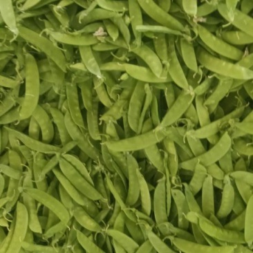 小荷兰豆