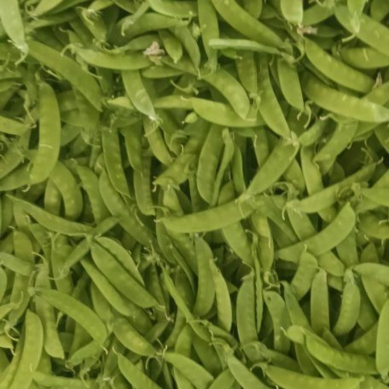 小荷兰豆