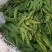 小荷兰豆