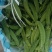 小荷兰豆