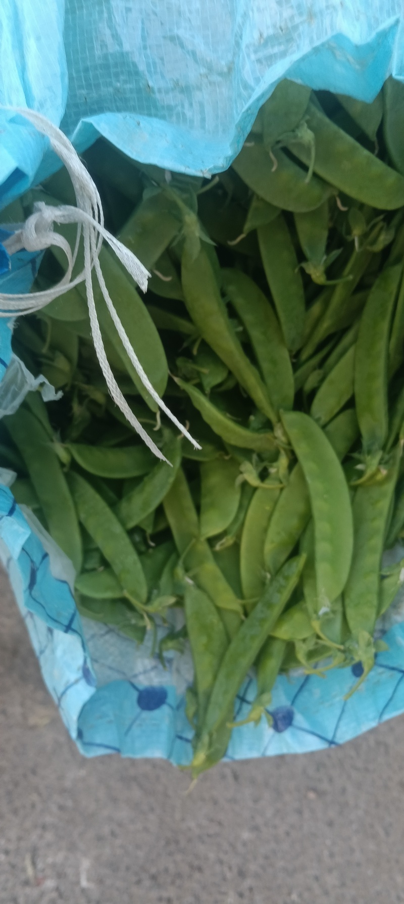 小荷兰豆