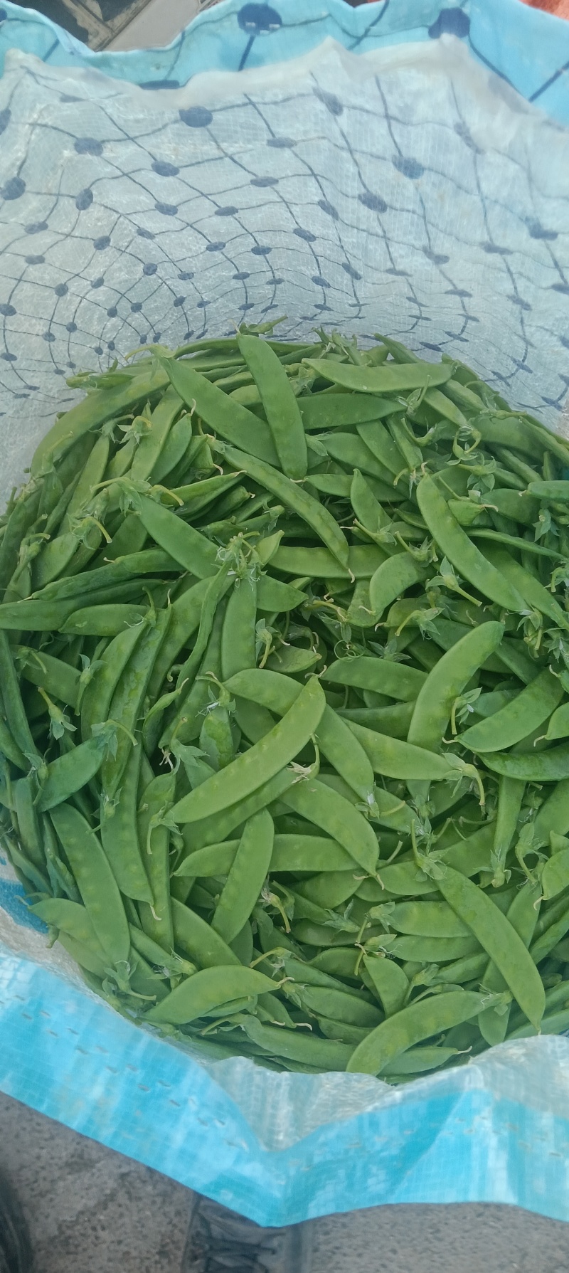 小荷兰豆