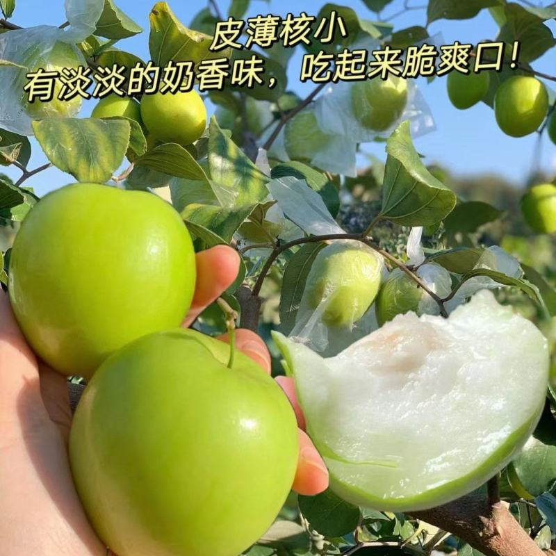 贵妃牛奶枣