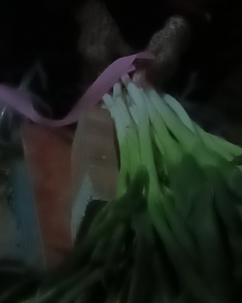 大葱