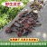 四川野生赤灵芝野生灵芝野生正品山货