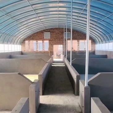 建设养殖大棚