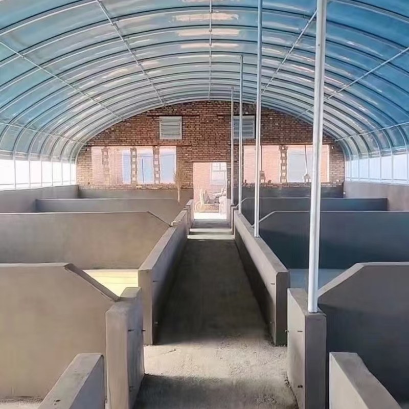建设养殖大棚