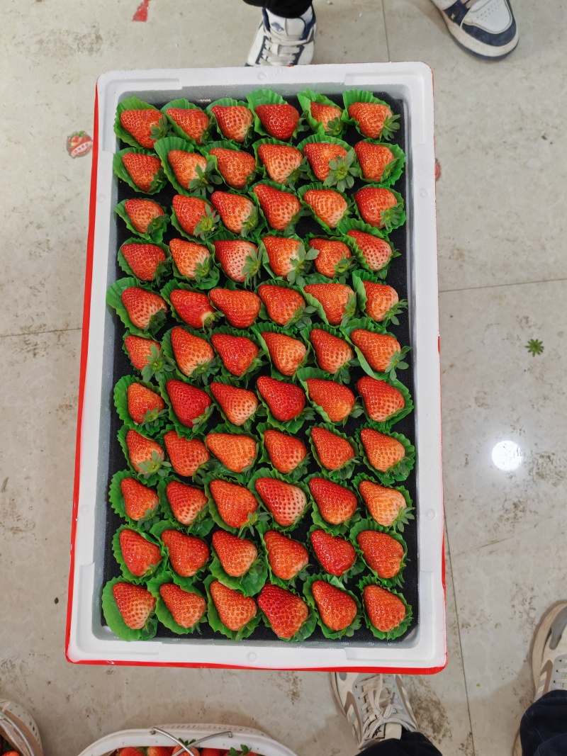 精品久香很漂亮哦
