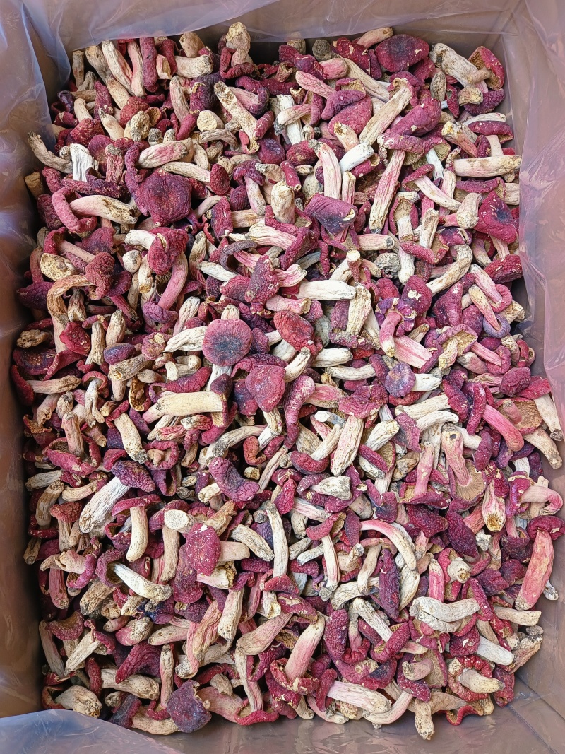 【电商代发】野生红菇包邮250克红菇红蘑菇干货红菇