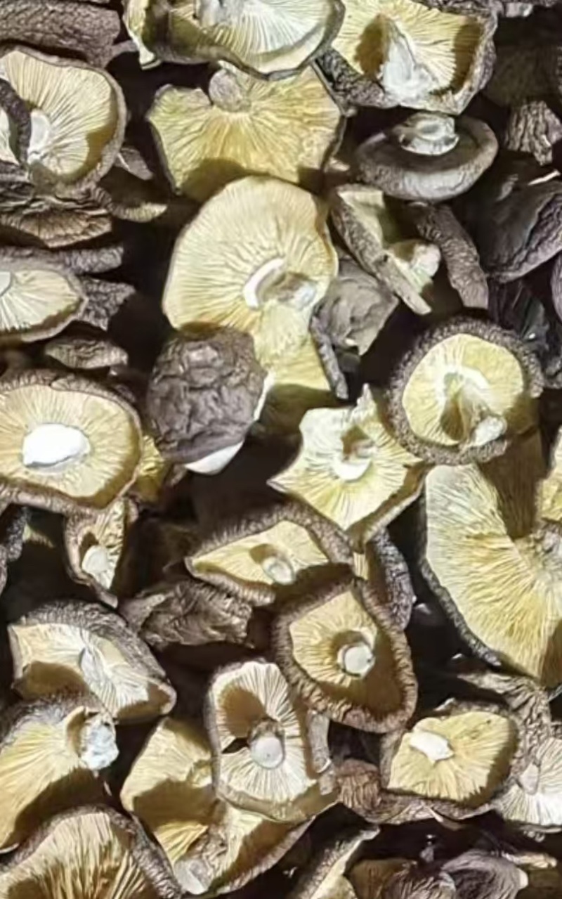 干香菇
