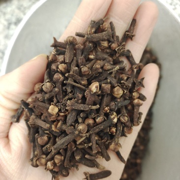 丁香，公丁香，新货无硫，产地货源保质保量，批发各种中药材