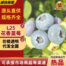 【实力商家】产地直发【颗颗饱满】诚实守信【保质保量】蓝莓