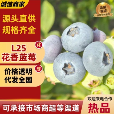 【实力商家】产地直发【颗颗饱满】诚实守信【保质保量】蓝莓