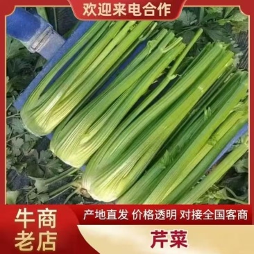 【精品芹菜】产地直发【诚信经营】超市直采【诚实守信】量大