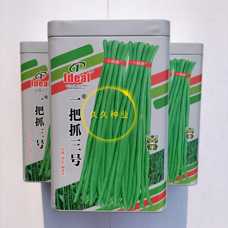 一把抓三号长豇豆种子早熟翠绿条长豆角种籽高产抗病基地春夏