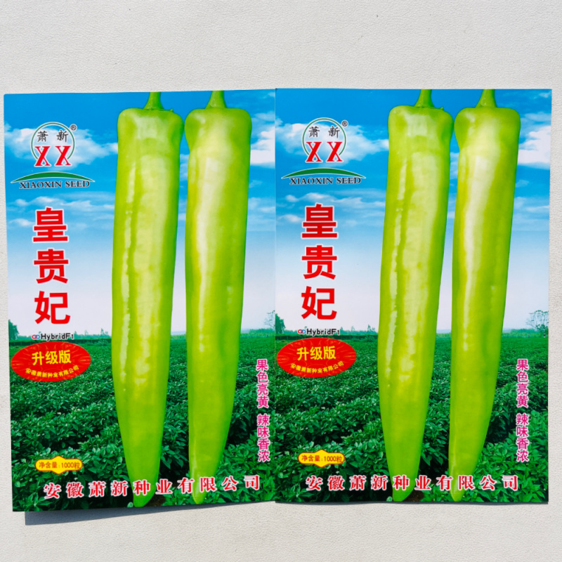 早熟大果牛角椒种子黄绿色光滑硬果型牛角椒种子原装正品保证