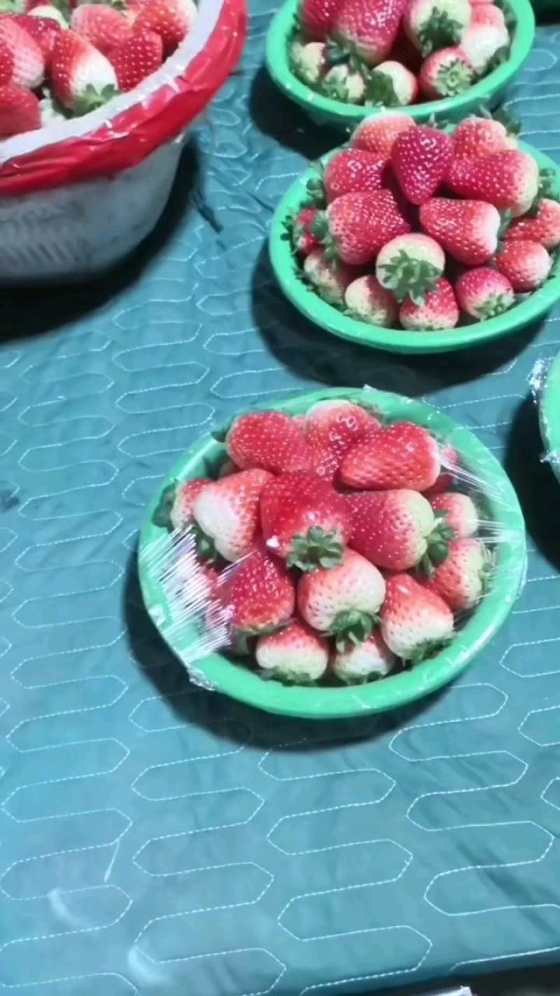 妙香草莓