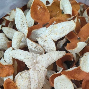 广西浦北龙门正宗茶枝柑陈皮批发
